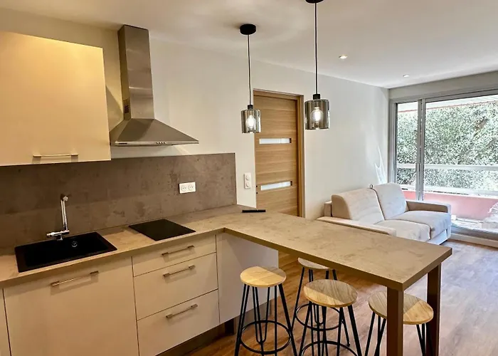 Superbe 2 Pieces Avec Piscine 公寓 尼斯